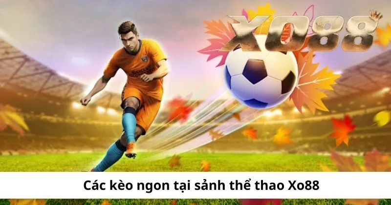 Các kèo được yêu thích