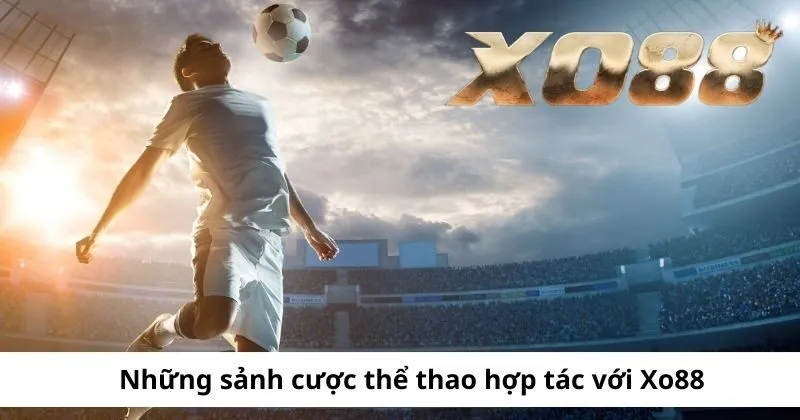 Những sảnh thể thao hợp tác Xo88